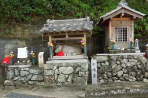 ハイキングコースの画像