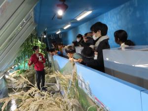 あくあぴあバックヤードツアー