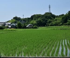 市内の田園風景