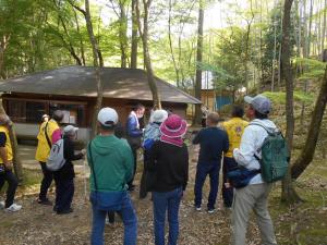 森の中で鳥の声を聴いている様子