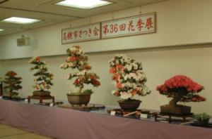 花季展示会の画像
