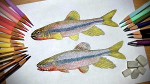 自然と本と博物館