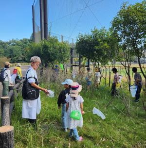 自然体験講座 生き物観察会の様子