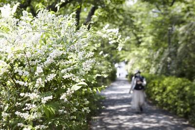 うのはな玉川の里