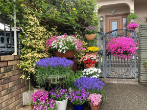 おうち部門　最優秀賞