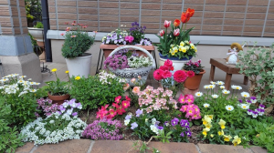 おうち部門　優秀賞