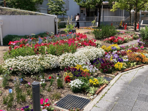 まちかど部門　優秀賞