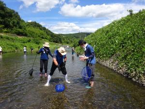 おとなのための魚とり