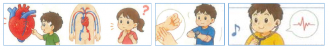心臓についての講座