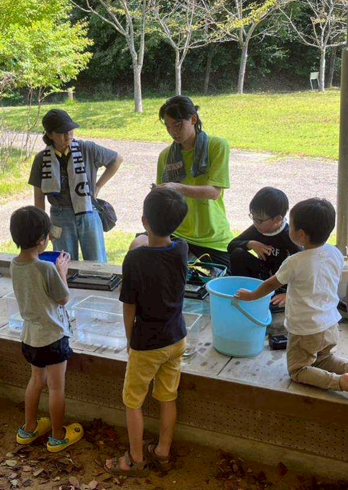 いきもの調査会の画像
