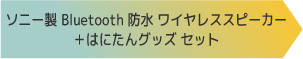 ソニー製 Bluetooth 防水 ワイヤレススピーカー＋はにたんグッズ セット