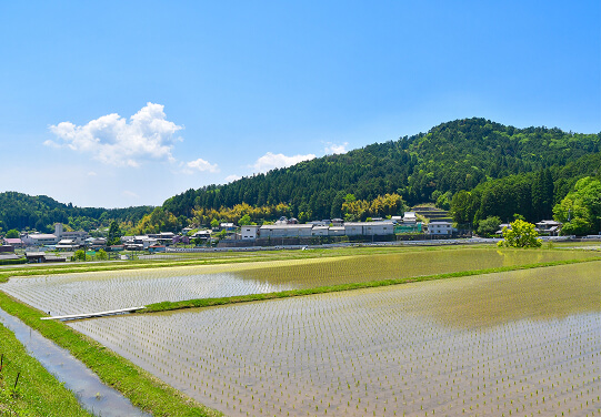 自然あふれる里山（樫田地区）